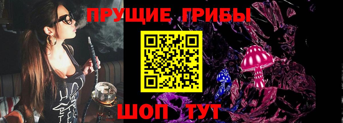 Галлюциногенные грибы Psilocybine cubensis Брянск